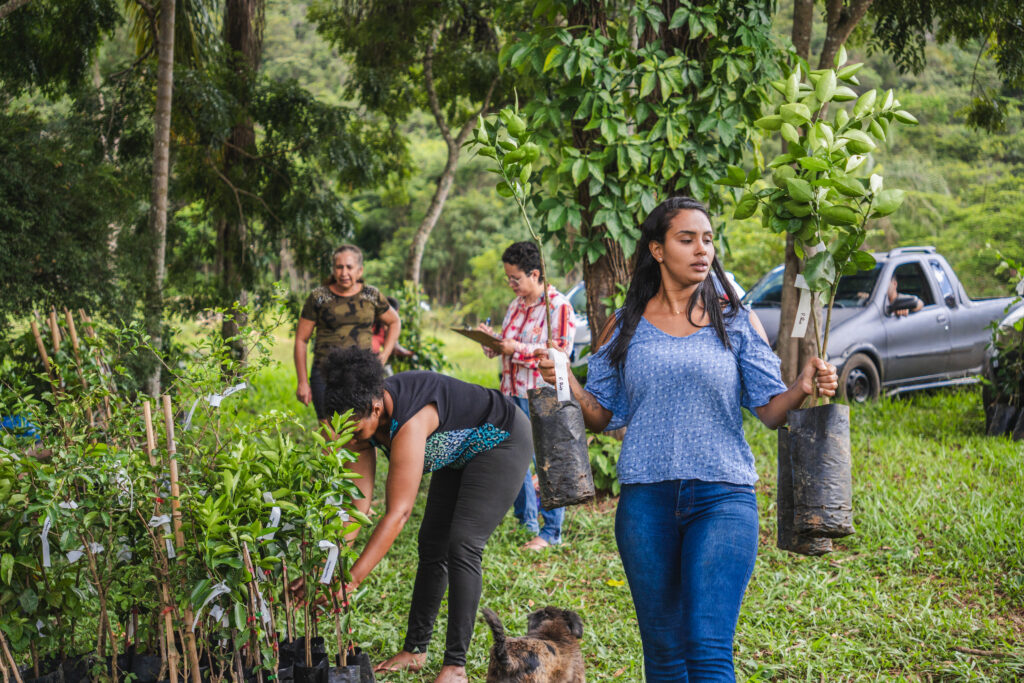 Quintais Sustentáveis