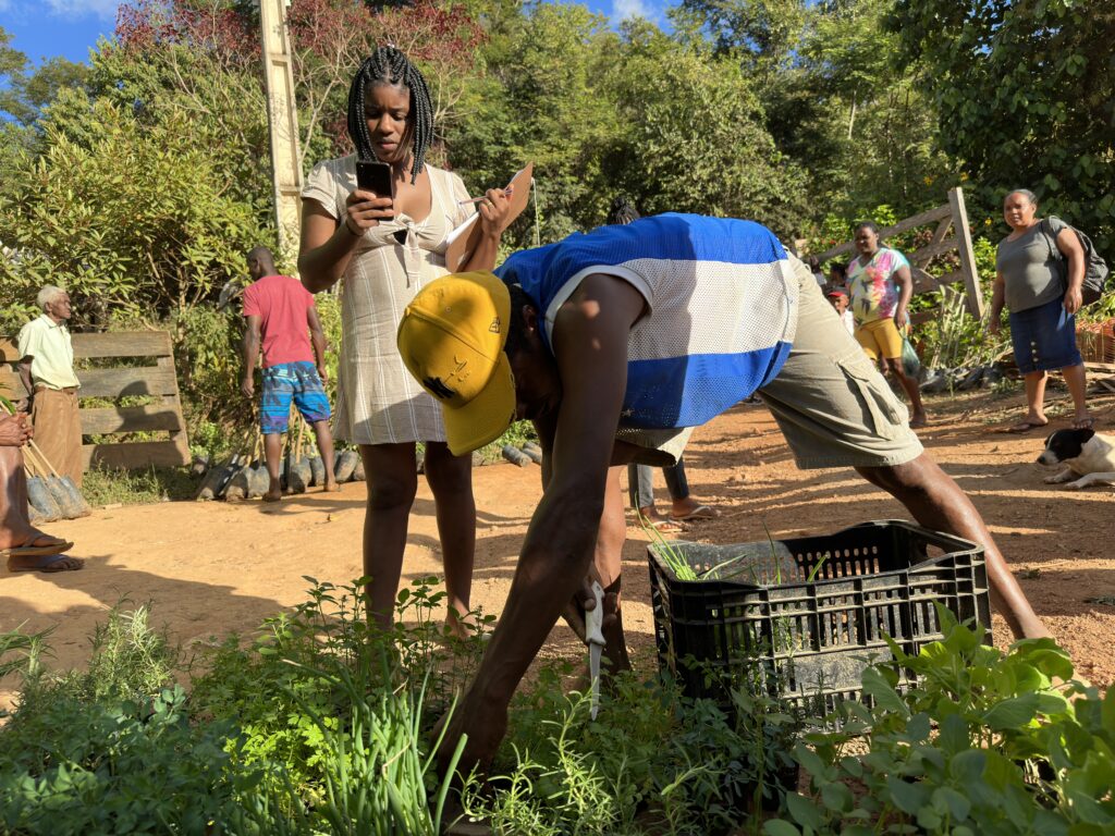 Quintais Sustentáveis I